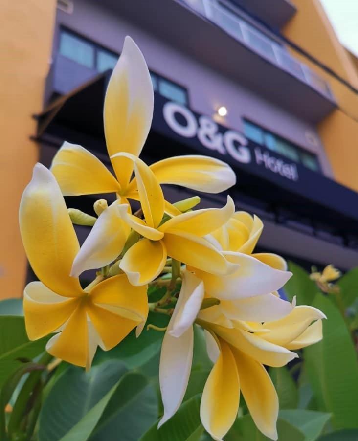O&G Hotel Parit Buntar Buitenkant foto